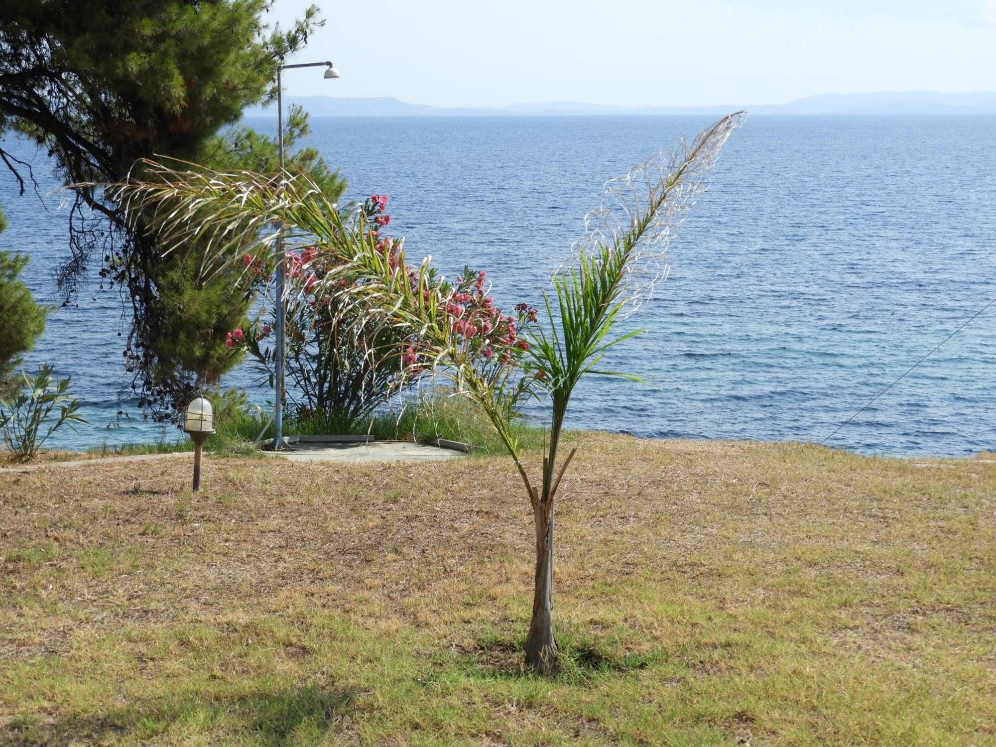 Sangue Blu Beachfront Villa Apartment Agios Nikolaos  Exteriör bild